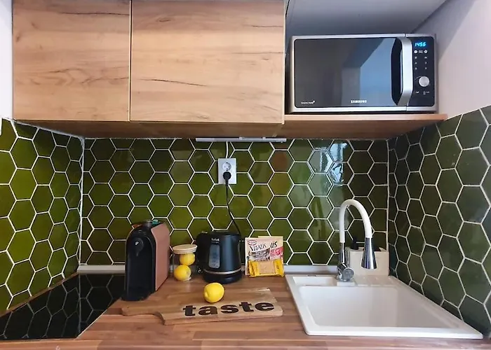Apartment Cosy Calea Victoriei Bucharest
